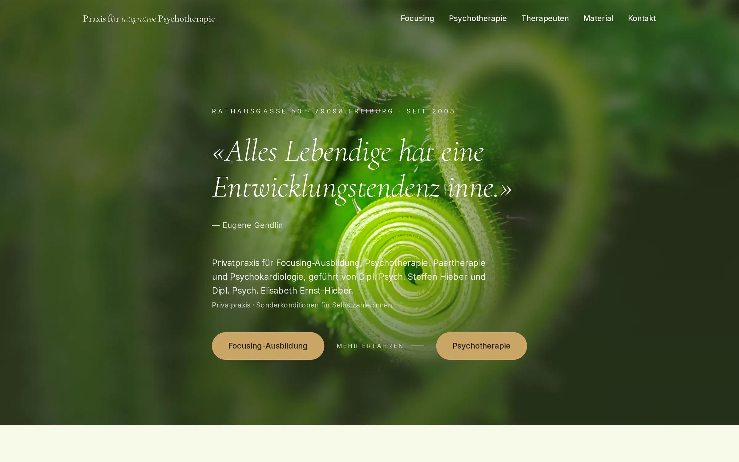 Praxis für integrative Psychotherapie, Ansicht auf dem Laptop