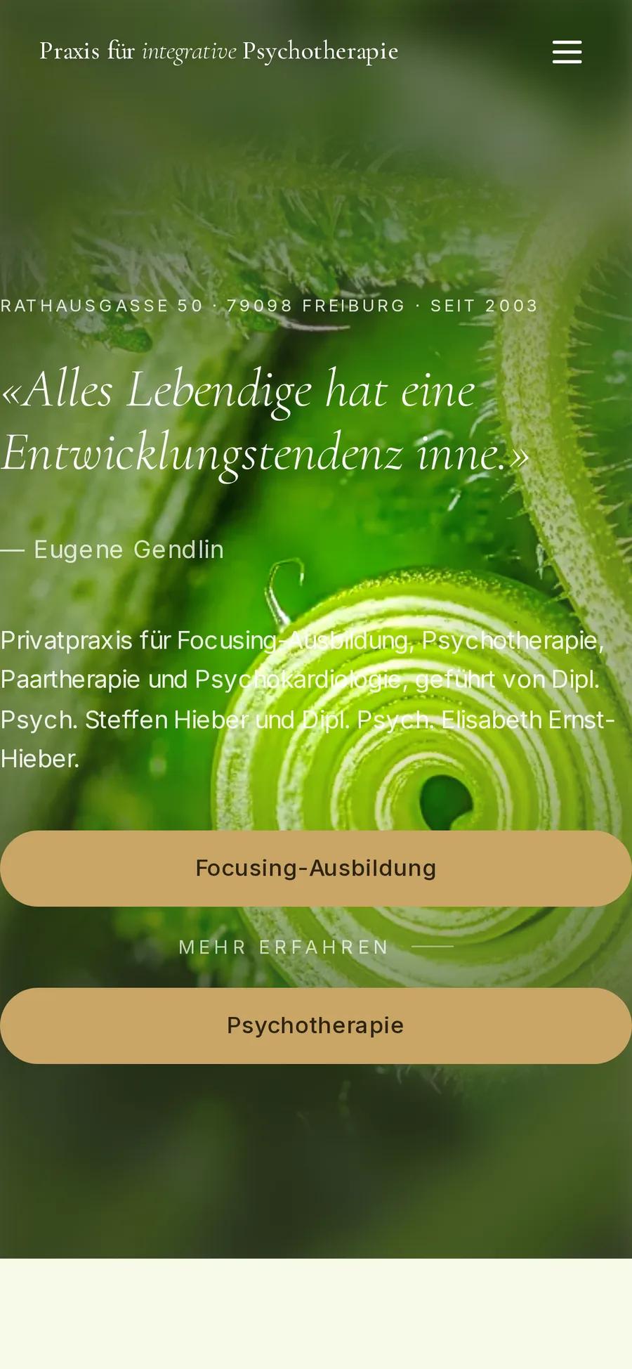 Praxis für integrative Psychotherapie, Ansicht auf dem Smartphone