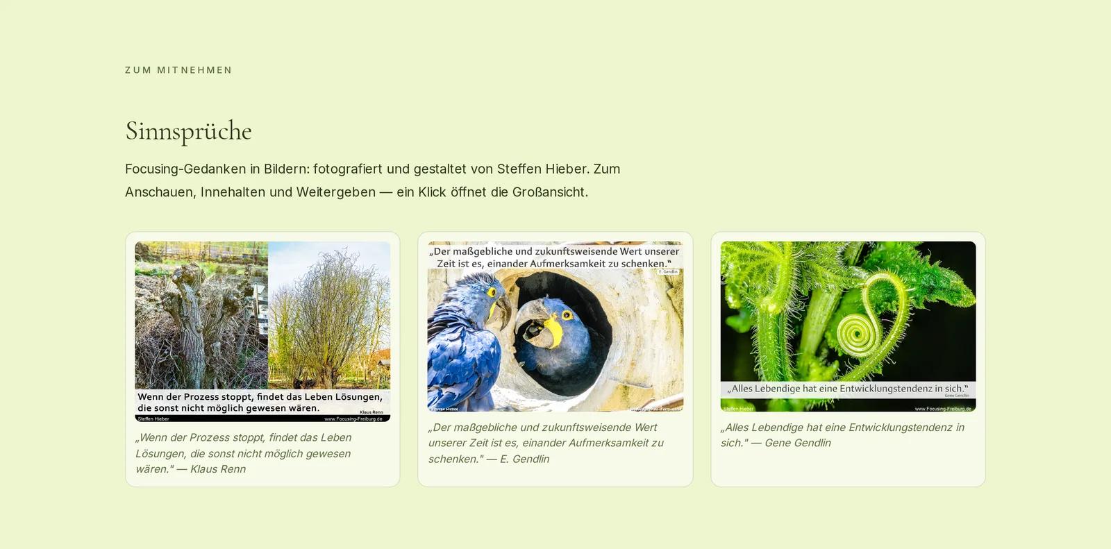 Praxis für integrative Psychotherapie, Ausschnitt der Website: Sinnsprüche als eigener Bereich